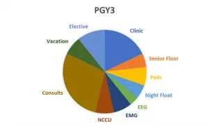 PGY3 Structure Graph