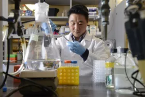 Seung Kim, Post-Doc Research Fellow, at the MCRI research lab bench.